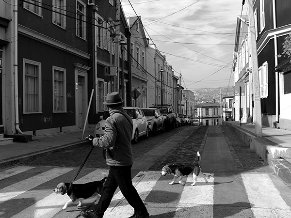 Fotografia da rua de uma cidade, onde um senhor caminha com dois cachorros.