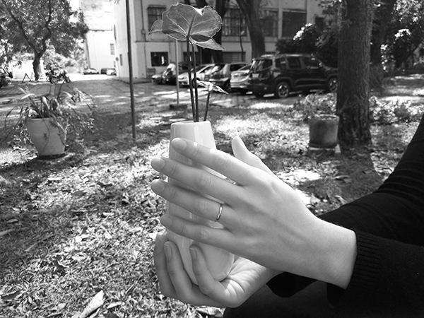 Uma pessoa segurando um vaso, em local aberto. A fotografia foca apenas as mãos da pessoa e o objeto.